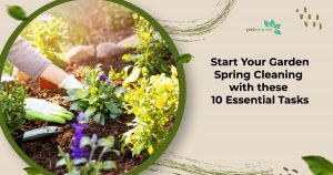 Start Your Garden Spring Cleaning with these 10 Essential Tasks