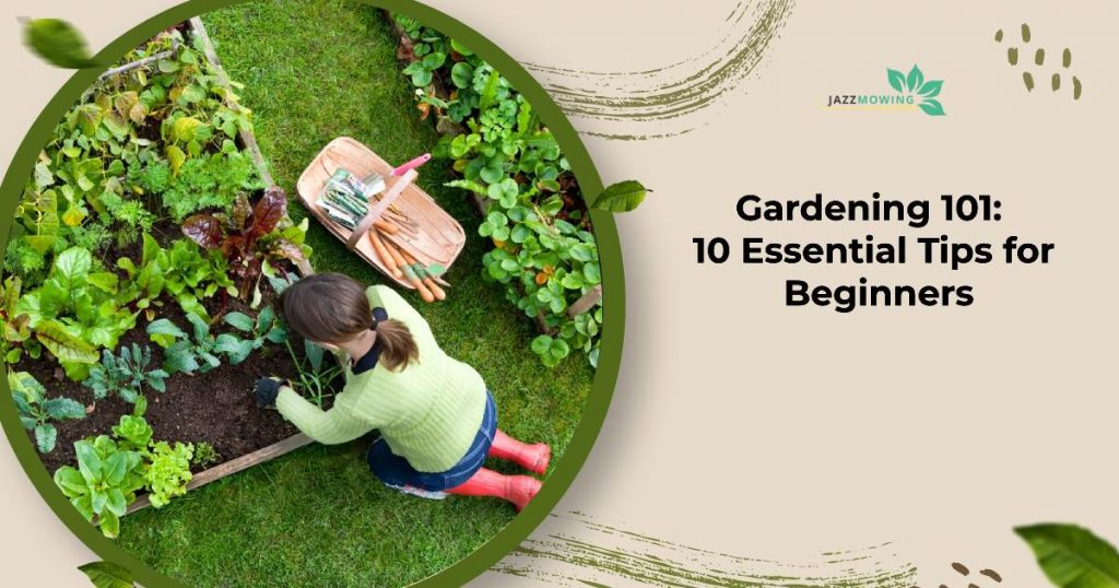 Gardening 101 10 Essential Tips for Beginners