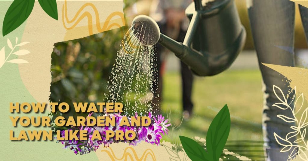 How to Water Your Garden and Lawn Like a Pro