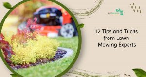 12 Mowing Tips and Tricks from Lawn Mowing Experts