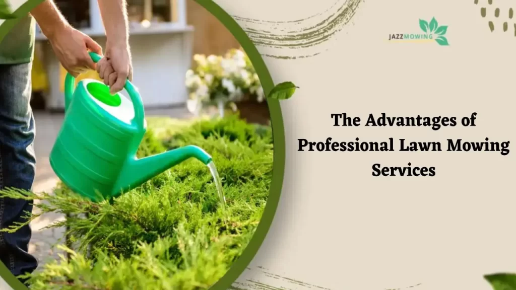 Professional Lawn Mowing Services