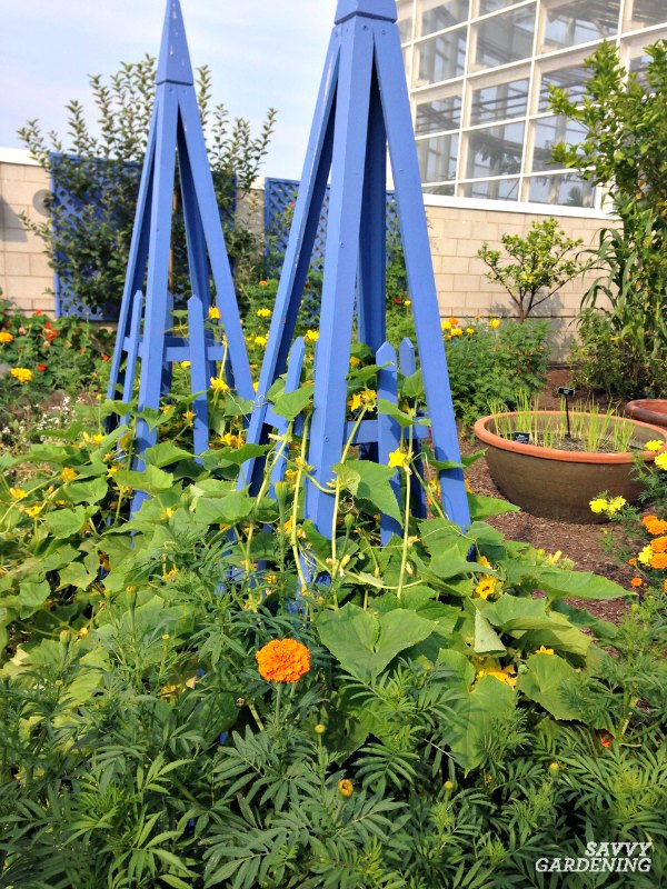 Crafting Obelisk for Creative Garden Space for vegetable garden ideas
